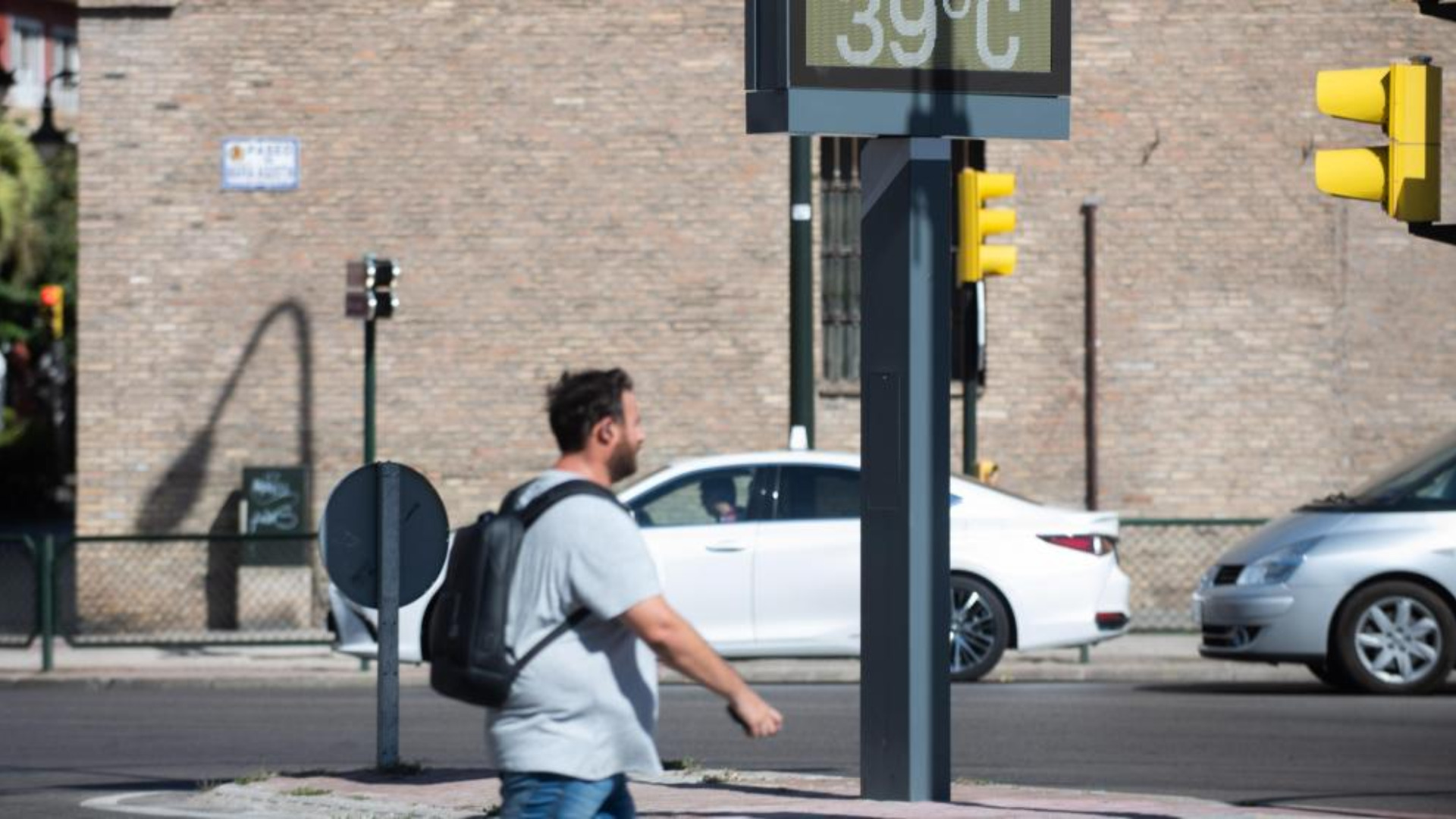 fallecido este verano en Aragón por causas atribuibles al calor