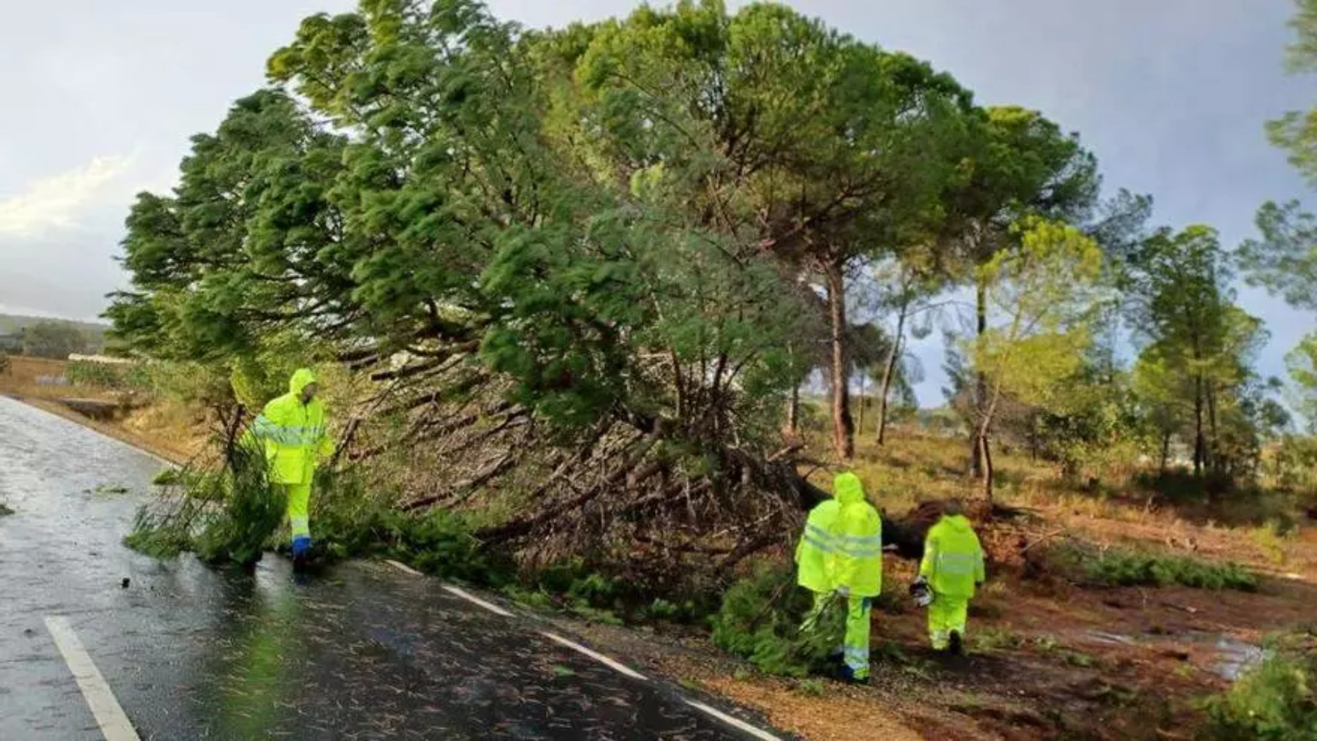 Consecuencias del temporal en Huelva