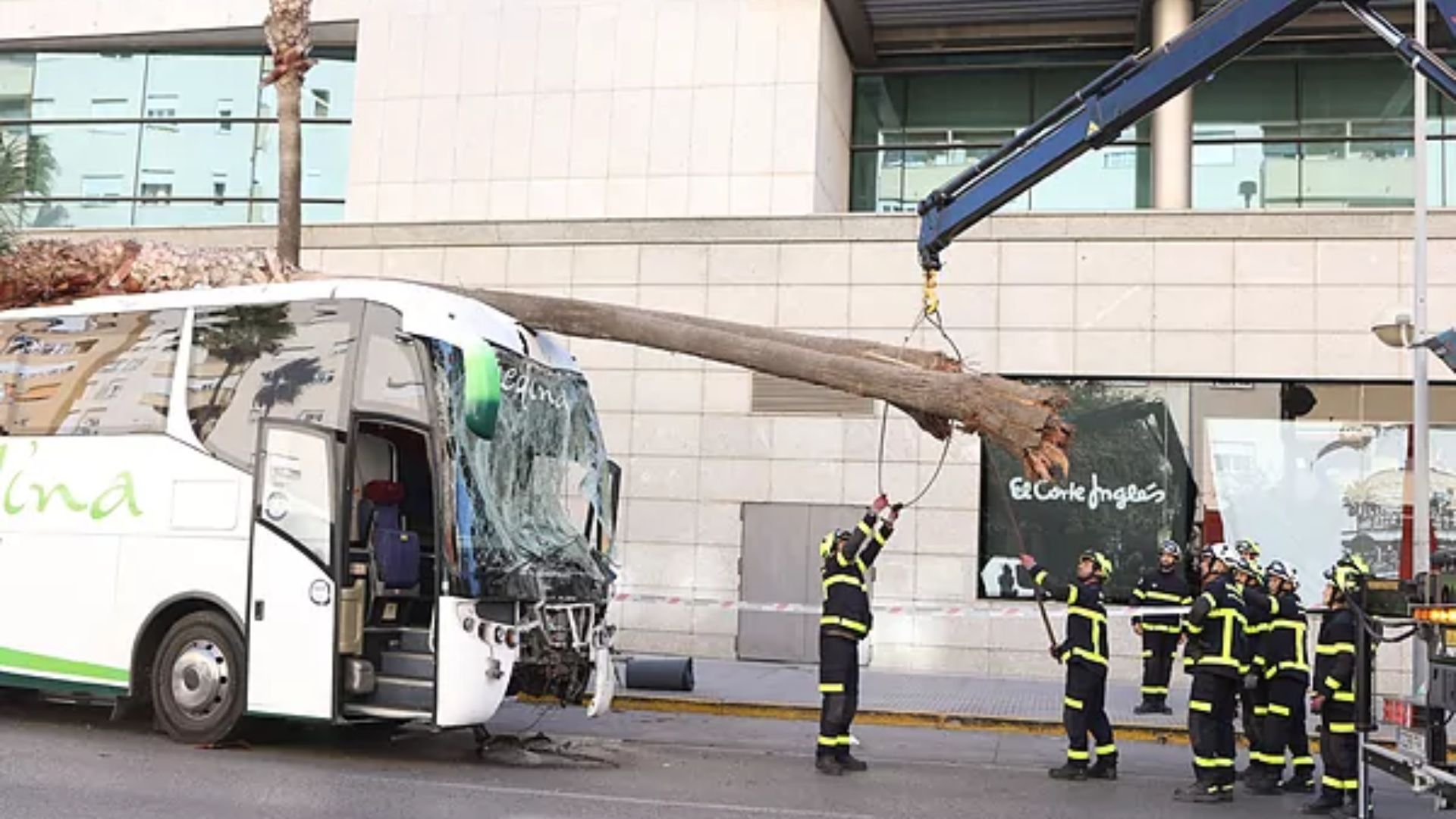 Bomberos retiran del autobús la palmera que se llevó por delante el vehículo.NACHO FRADEEUROPA PRESS