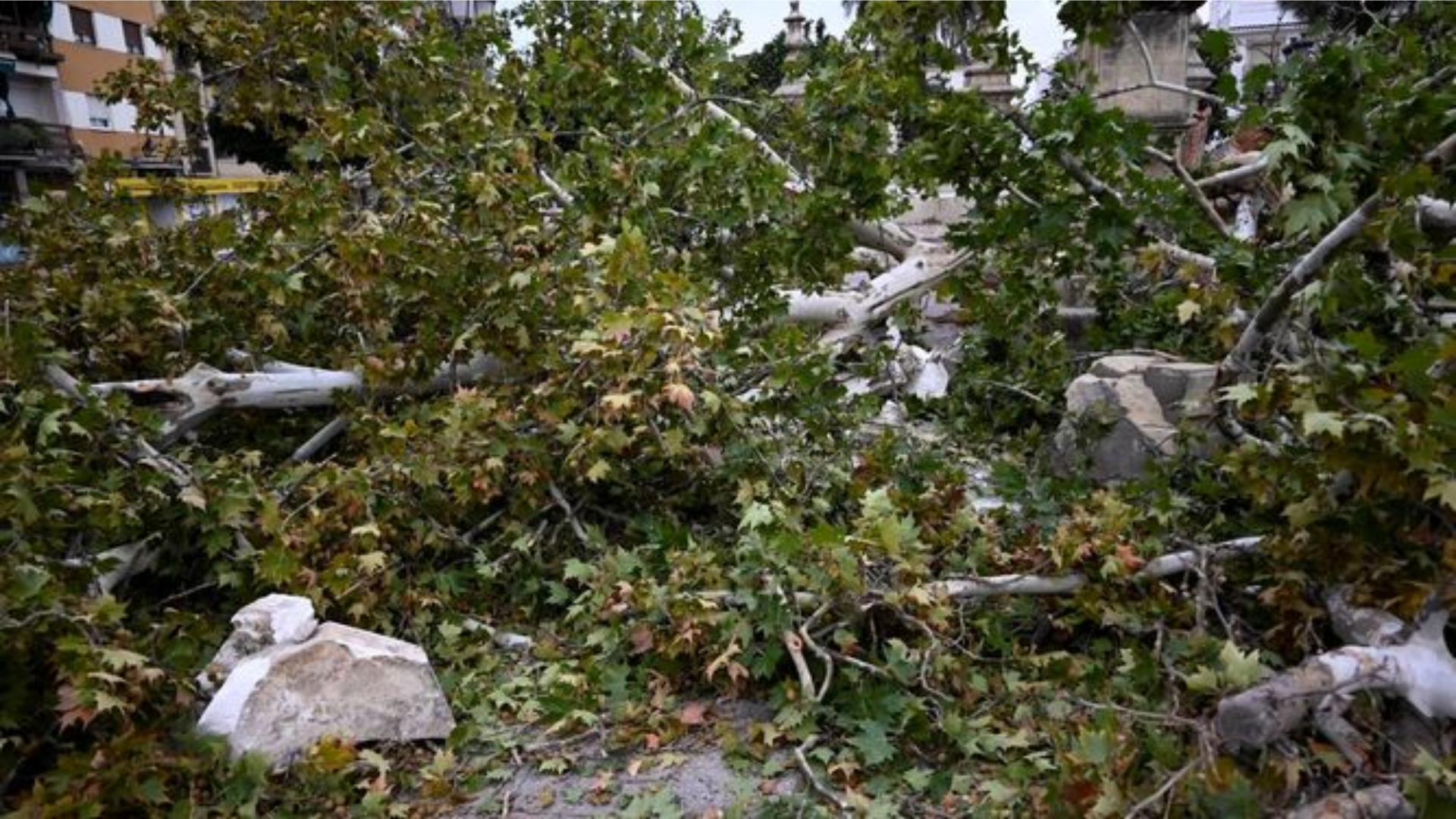 hombre hallado muerto en Córdoba