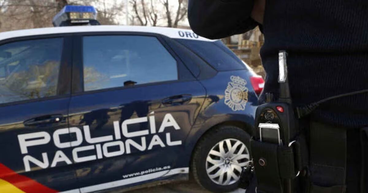 Un agente y un coche patrulla de la Policía Nacional