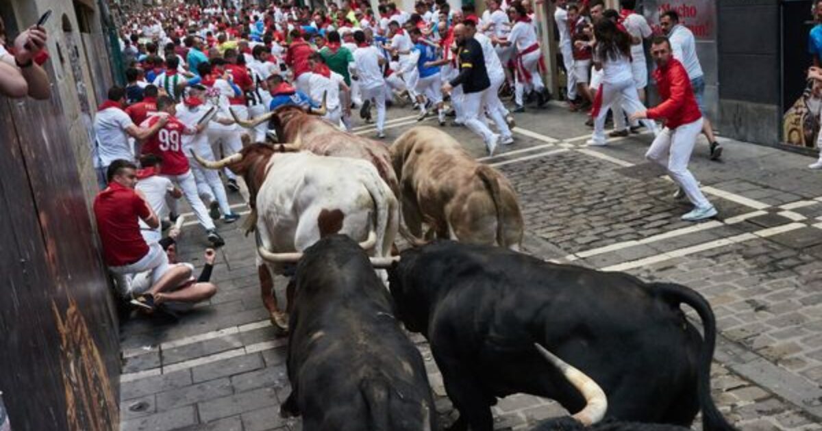 toros